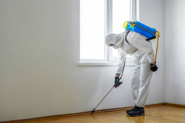 Professional Pest Control in Milton, NY
