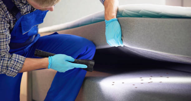 Best Bed Bug Extermination  in Milton, NY