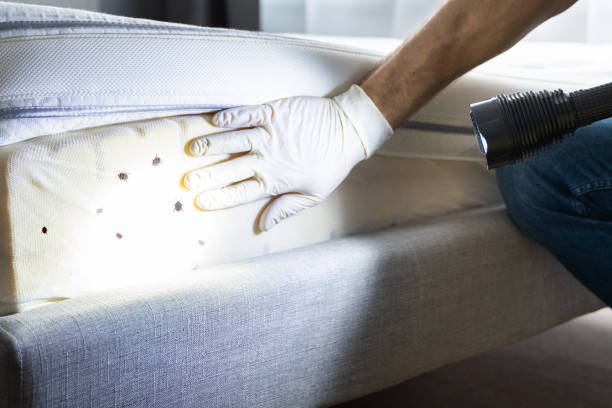 Best Residential Pest Control  in Milton, NY