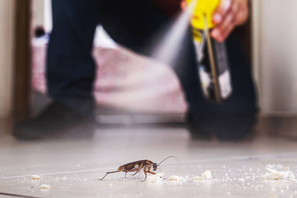 Best Cockroach Control Services  in Milton, NY